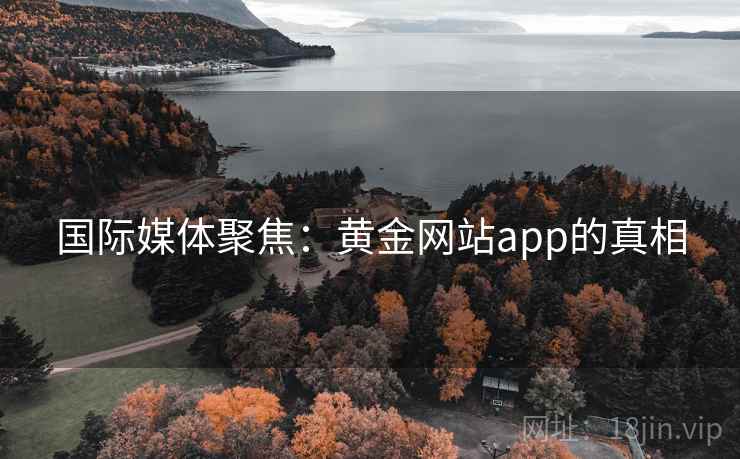 国际媒体聚焦:黄金网站app的真相 第2张 国际媒体聚焦:黄金网站app的真相 第2张