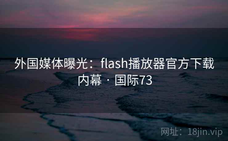 外国媒体曝光：flash播放器官方下载内幕 · 国际73